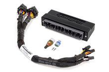 Load image into Gallery viewer, HALHT-140843-Haltech 00-04 Honda S2000 (AP1/2005 AP2) Elite 1000/1500 Plug-n-Play Adaptor Harness-Wiring Harnesses-Haltech