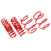 Load image into Gallery viewer, ASTASTLS-19-208-AST Suspension 2018+ Tesla Model 3 Long Range AWD Lowering Springs -25mm/25mm-Lowering Springs-AST