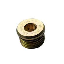 Load image into Gallery viewer, BD Diesel Drain Plug for Deep Transmission Part 1061716 BD Diesel BDD1601613