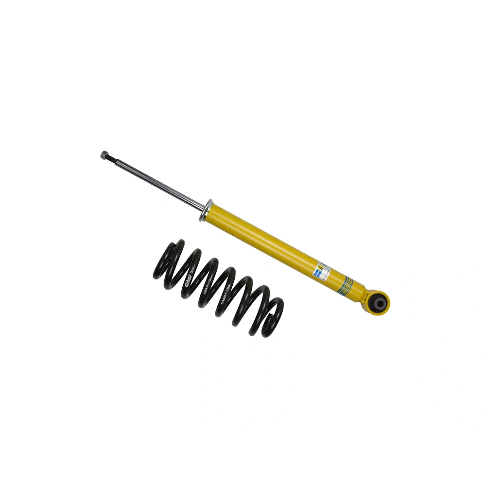 Bilstein 46-261212 rear damper and Eibach spring view