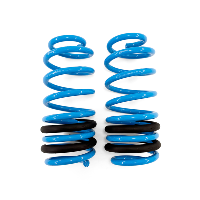 BLOX Racing BLOBXSS-01007-R lowering springs, close-up product view