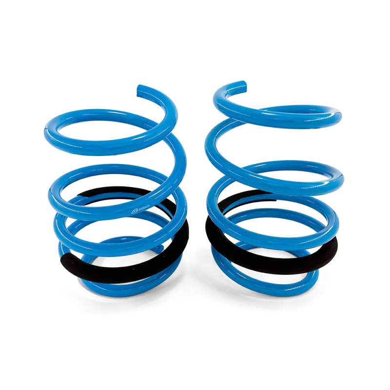 BLOX Racing BLOBXSS-01007-R lowering springs, brand mark and product view