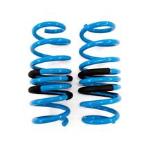 Load image into Gallery viewer, BLOX Racing BLOBXSS-01011 lowering springs, brand mark and product view