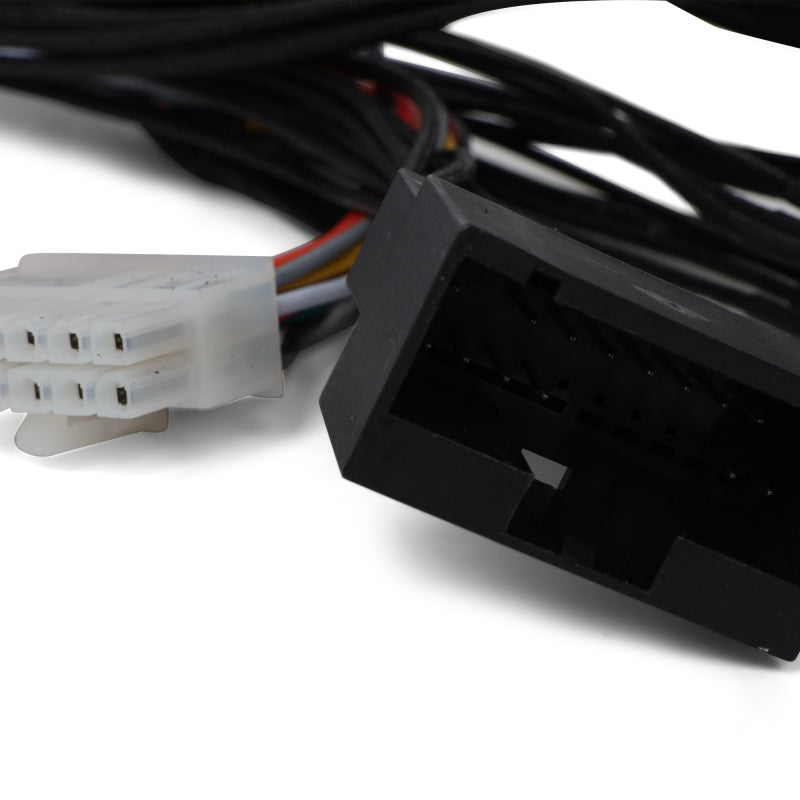 BLOBXAC-00700-BLOX Racing Honda OBD0 - OBD1 ECU Jumper Harness-Wiring Harnesses-BLOX Racing