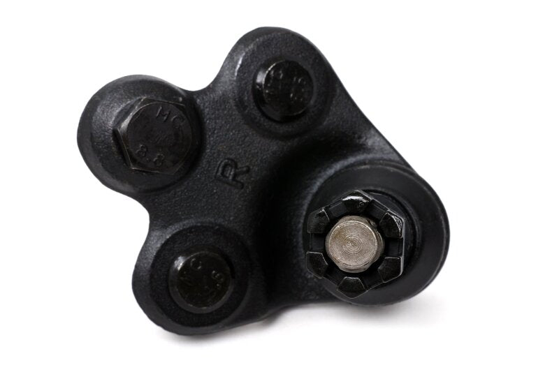 BLOBXSS-20003-BLOX Racing Roll Center Adjusters / Extended Front Ball Joints - 06-11 Honda Civic (Pair)-Suspension Arms & Components-BLOX Racing