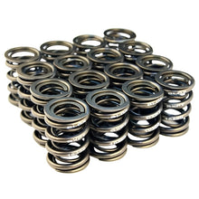 Load image into Gallery viewer, BLOX Racing Valve Springs for B18A-B / B20 (1.8L-2.0L DOHC) - Black Ops Auto Works