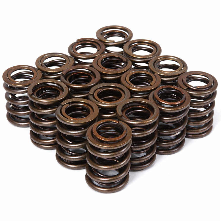 BLOX BXPT-20301 valve springs set full view