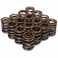 Load image into Gallery viewer, BLOX BXPT-20301 valve springs set full view
