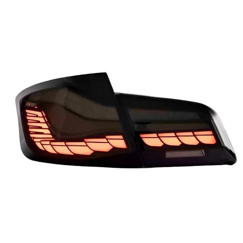 BMW M5 5 Series 2010-16 Sequential OLED GTS Style Taillights - BayOptiks TL-F10