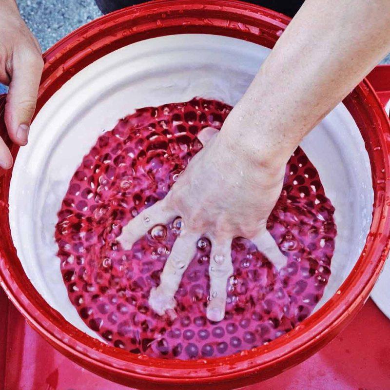 Chemical Guys Cyclone Dirt Trap Car Wash Bucket Insert - Red - Chemical Guys DIRTTRAP02