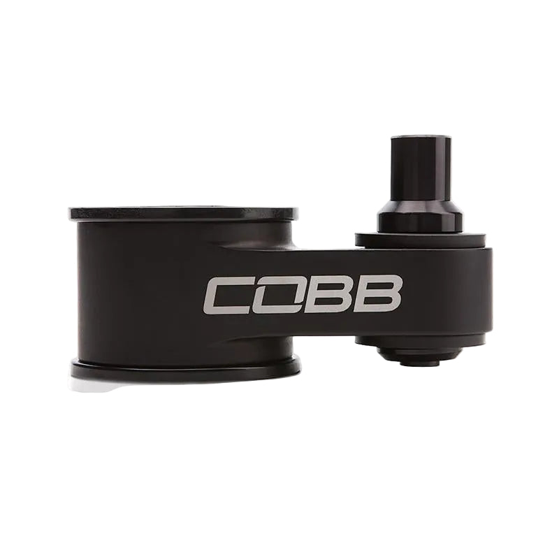 Cobb 14-19 Ford Fiesta ST Stage 1 Power
