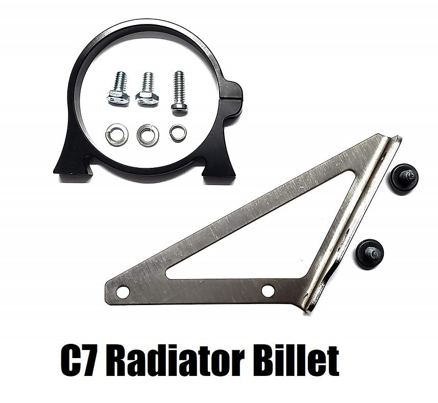 MightyMouse Solutions Logo Detail