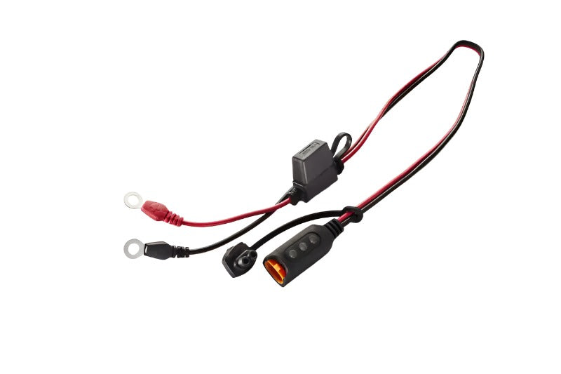 CTEK Accessory - Comfort Indicator Eyelet M6 - Black Ops Auto Works