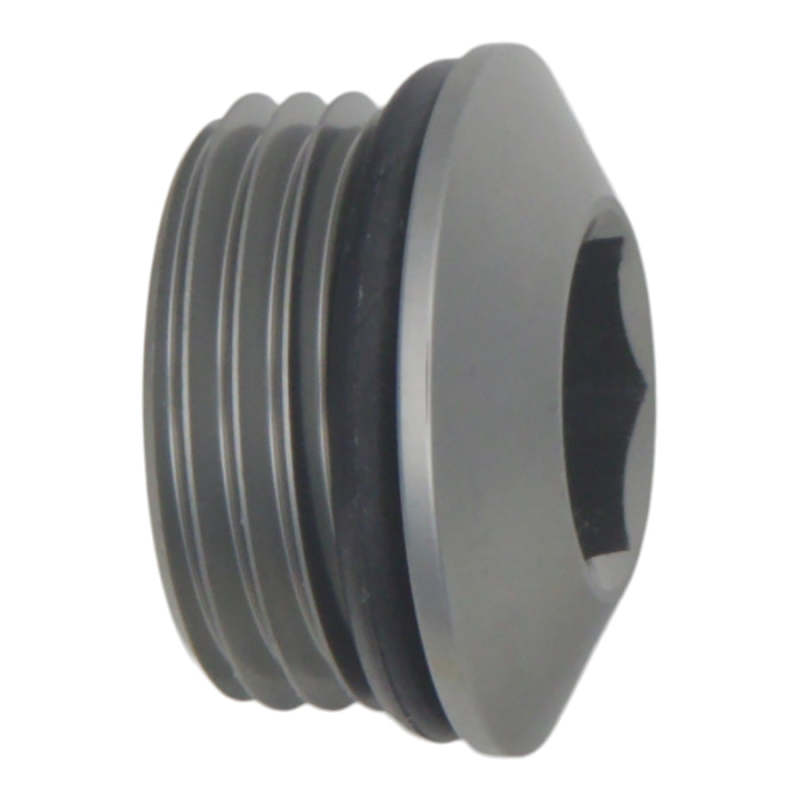 DeatschWerks 10AN ORB Male Plug Low Profile Internal Allen/Hex (Incl. O-Ring)-Fitting Caps-DeatschWerks-00887753532015-