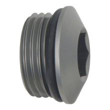 Load image into Gallery viewer, DeatschWerks 10AN ORB Male Plug Low Profile Internal Allen/Hex (Incl. O-Ring)-Fitting Caps-DeatschWerks-00887753532015-