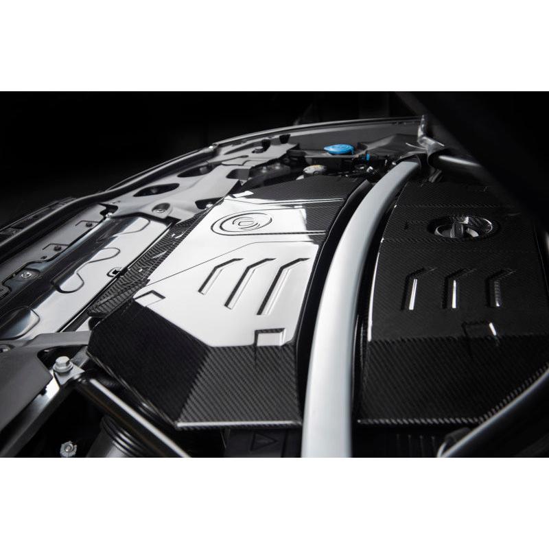 Dinan D590-0001 BMW X3 M/X4 M Carbon Fiber Engine Cover - product image 12