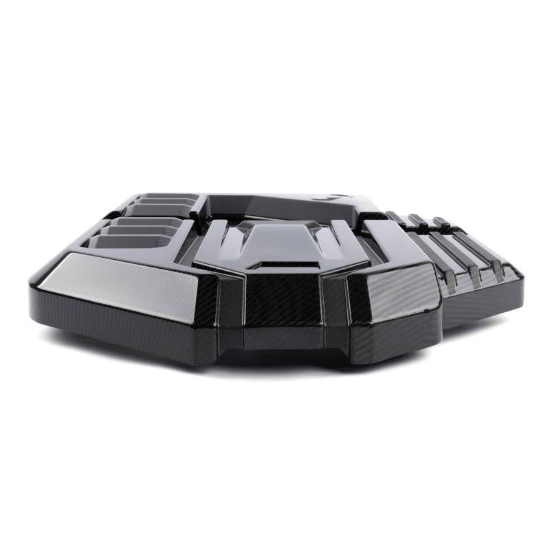 Dinan D590-0005 BMW M2/M3/M4 Matte Carbon Fiber Engine Cover - product image 14