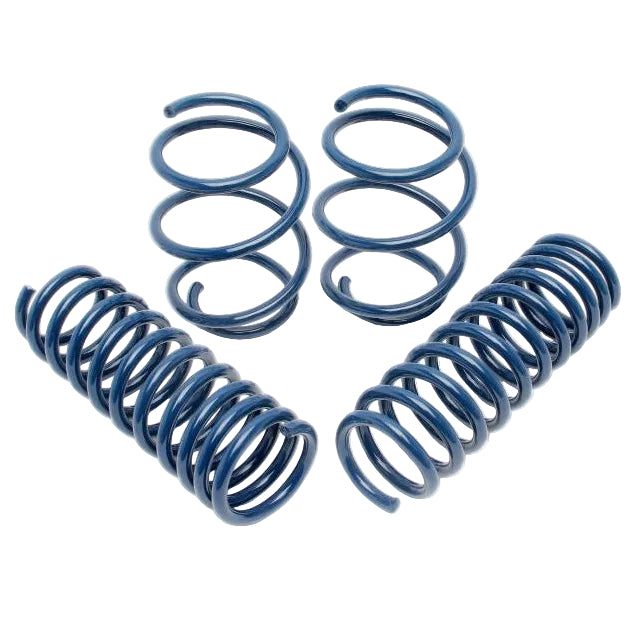 Dinan D100-0479 BMW M5 Performance Spring Set - primary product image
