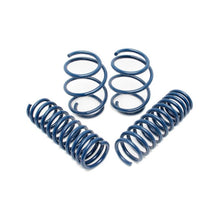 Load image into Gallery viewer, Dinan D100-0913 BMW M5 Performance Spring Set - primary product image