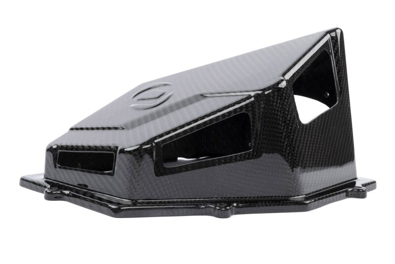 Dinan 16-26 BMW 540i/740i/840i/X5 40i/X6 40i (G05/G06/G12/G15/G16/G32) Carbon Fiber Cold Air Intake - Dinan DNND760-0068