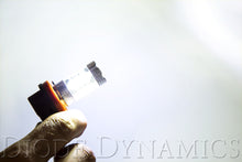 Load image into Gallery viewer, Diode Dynamics DD0165P H11 XP80 LED Cool White (pair) - Diode Dynamics DD0165P