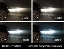 Load image into Gallery viewer, Diode Dynamics DD1045P HID Bulb D3S 6000K (pair) - Diode Dynamics DD1045P
