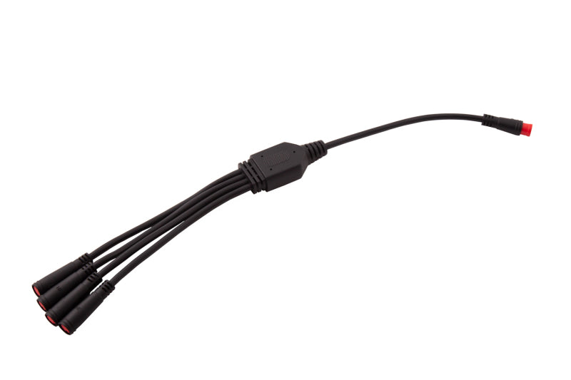 Diode Dynamics RGBW M8 5-Pin Splitter Wire - 1 Diode Dynamics DIODD4141