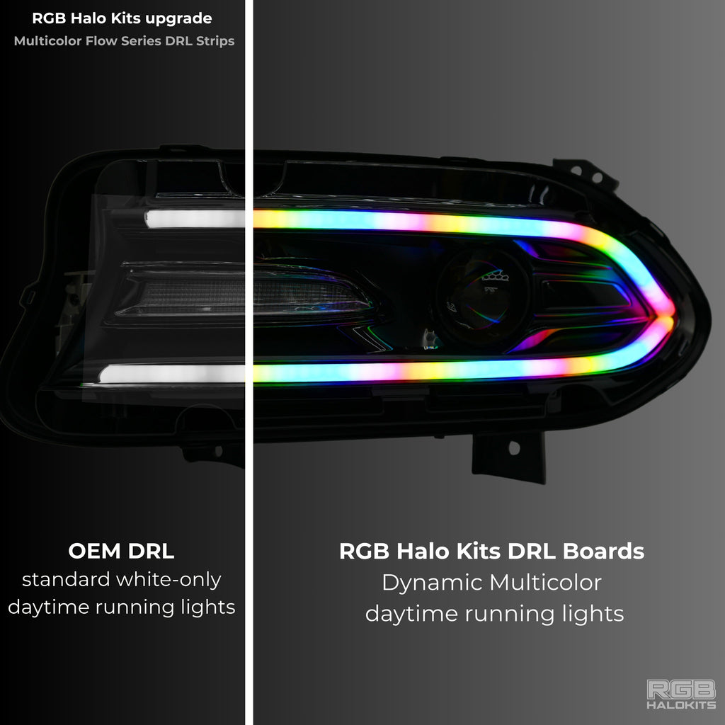 RGB Halo Kits Dodge Charger Flow Series DRL Boards 2.0 | Diffused LED (2015-2023)