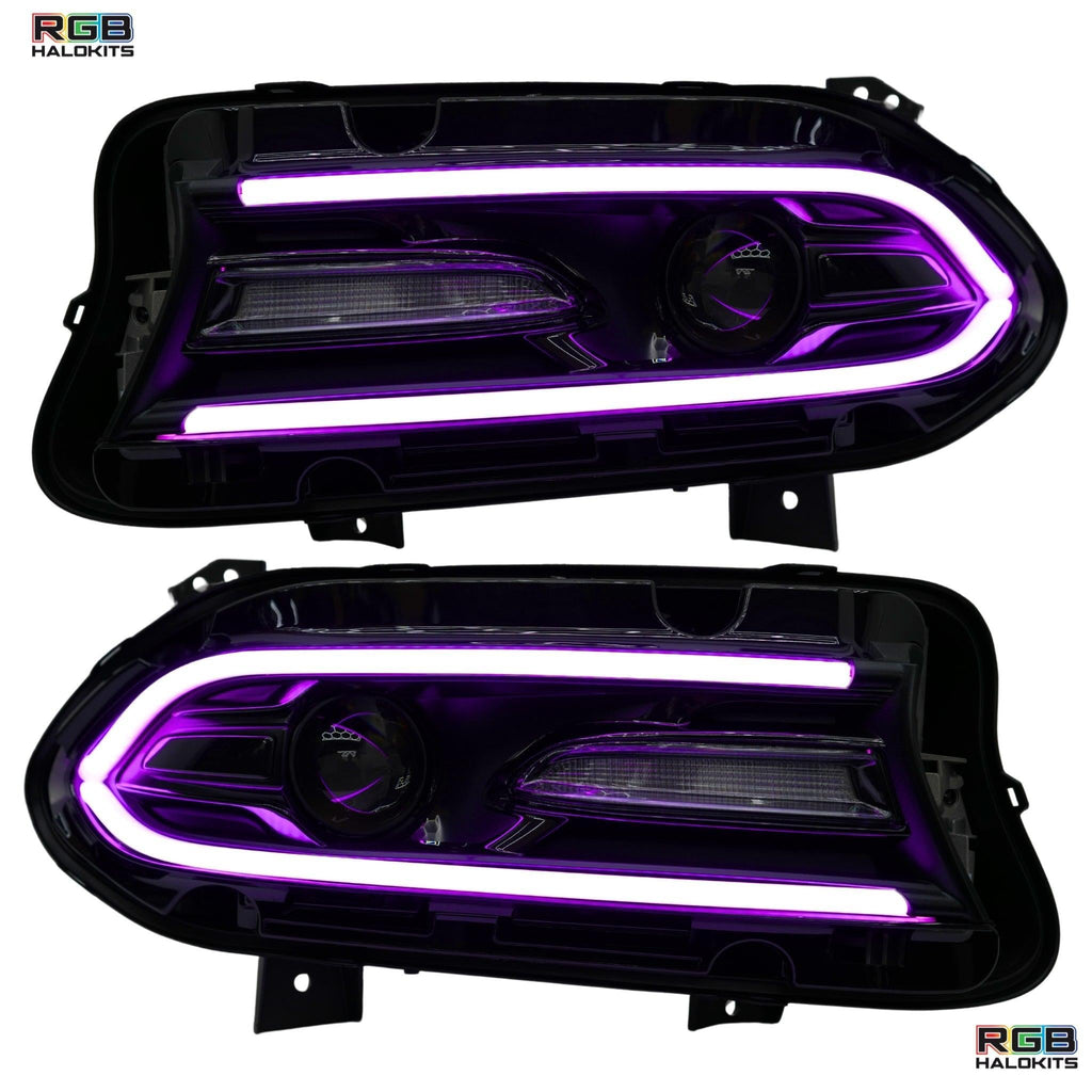 RGB Halo Kits Dodge Charger Flow Series DRL Boards 2.0 | Diffused LED (2015-2023)