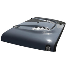 Load image into Gallery viewer, DV8 Offroad 07-18 Jeep Wrangler JK Rubicon 10th Anniversary Replica Hood - Black Ops Auto Works