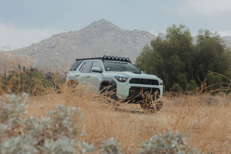 DV8 25-26 Toyota 4Runner Exterior Window Molles (Use w/ PN dveRRTF3-02) - Driver & Passenger - DV8 Offroad DVERRTF3-02EM