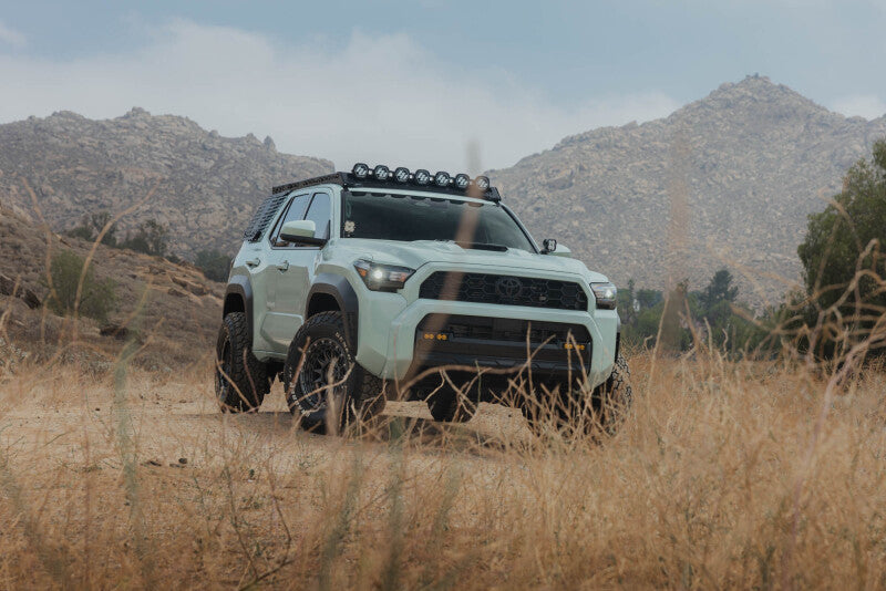 DV8 25-26 Toyota 4Runner Exterior Window Molles (Use w/ PN dveRRTF3-02) - Driver & Passenger - DV8 Offroad DVERRTF3-02EM