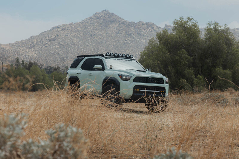DV8 25-26 Toyota 4Runner Exterior Window Molles (Use w/ PN dveRRTF3-02) - Driver & Passenger - DV8 Offroad DVERRTF3-02EM