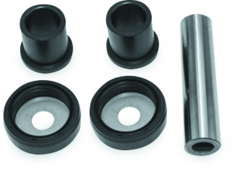 QBS413544-QuadBoss 03-06 Kawasaki KFX80 King Pin Kit-Hardware Kits - Other-QuadBoss