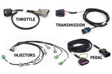 Load image into Gallery viewer, Haltech NEXUS Rebel LS Kit (Suits Gen IV) 6-Pin DBW Throttle/EV6 Injectors/Manual Transmission-Programmers &amp; Tuners-Haltech