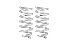 Load image into Gallery viewer, Eibach 18-24 Ford Expedition Stage 1 Rear Spring System-Eibach-EIBE30-35-050-01-02