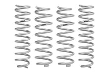 Load image into Gallery viewer, Eibach Pro-Truck lift kit coil springs, four springs standing upright