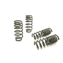 Load image into Gallery viewer, Eibach 28105.140 — Pro-Kit for 11-12 Dodge Charger 2WD V6 / 2WD V8 (Will Not Effect Vehicle Height On Scat Pack) — image 1