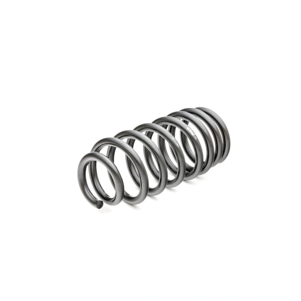 Eibach 28111.140 — Pro-Kit for 11-12 Dodge Challenger R/T 5.7L Hemi V8 / 11 Challenger SRT-8 6.4L Hemi V8 — image 4