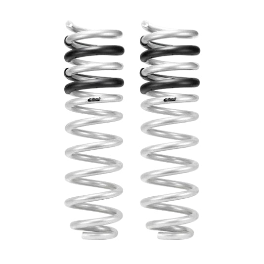 Eibach Pro-Lift-Kit rear springs full view