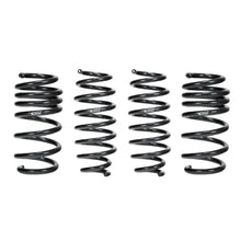 Load image into Gallery viewer, Eibach E10-87-001-05-22 — 18-20 Tesla Model 3 AWD Performance Pro-Kit — image 1