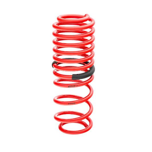 Eibach Sportline Kit for 05-07 Mustang S197 V8-Eibach-EIB4.10135