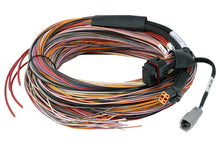 Load image into Gallery viewer, HALHT-188000-Haltech PD16 Flying Lead Harness 5M-Wiring Harnesses-Haltech