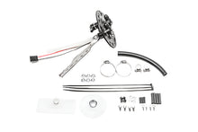 Load image into Gallery viewer, Photo - Primary