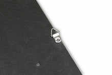 Load image into Gallery viewer, Fabspeed Motorsport Fabspeed Carbon Fiber Wall Art - Audi