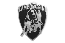 Load image into Gallery viewer, Fabspeed Motorsport Fabspeed Carbon Fiber Wall Art - Lamborghini