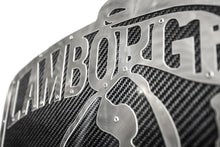 Load image into Gallery viewer, Fabspeed Motorsport Fabspeed Carbon Fiber Wall Art - Lamborghini