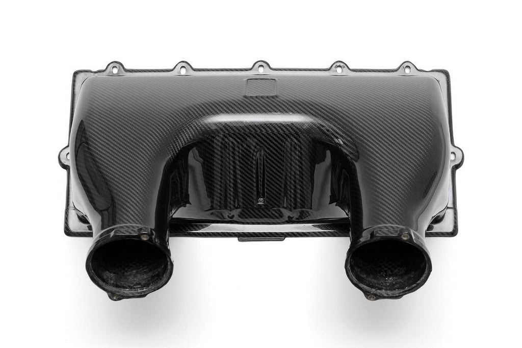 Fabspeed Motorsport Fabspeed Ferrari 458 Italia Carbon Fiber Airbox Cover 2010-2015