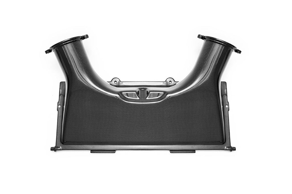 Fabspeed Motorsport Fabspeed Ferrari 488 GTB/Spider Carbon Fiber Airbox Coverlid