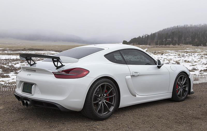 Fabspeed Motorsport Fabspeed Porsche 981 Cayman GT4 Single-Wall Tips